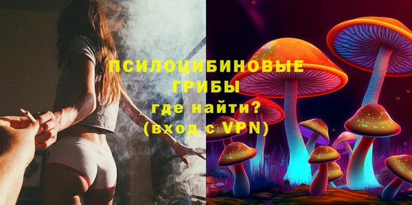 гидропоника Богородицк