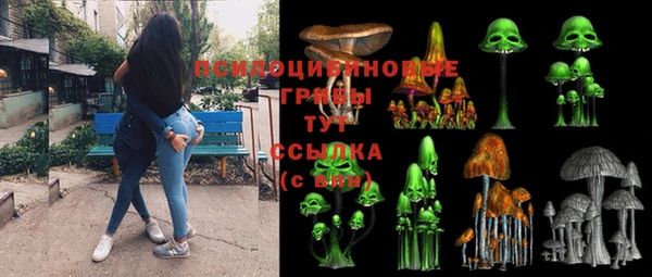 молекула духа Белокуриха