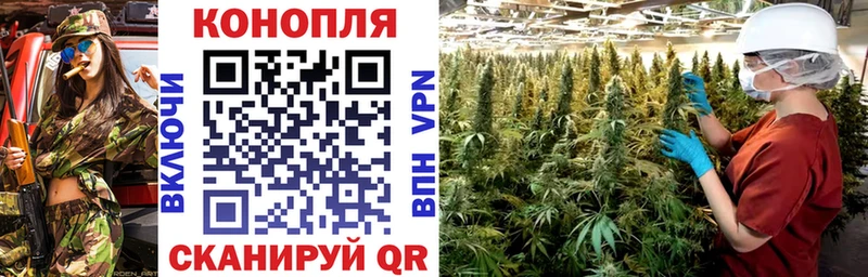 Конопля гибрид  гидра как войти  Богородск 